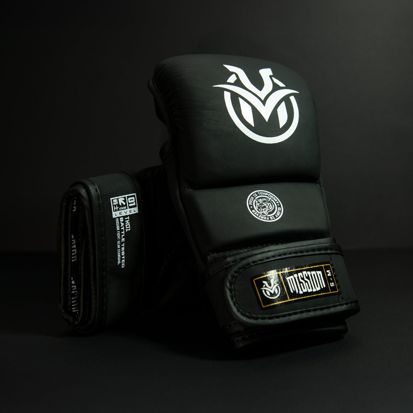 TC03 MMA Sparring Gloves Black- Velcro