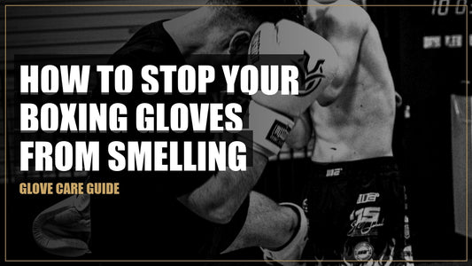Two fighters sparring in a gym wearing Mission Fight Culture boxing gloves
