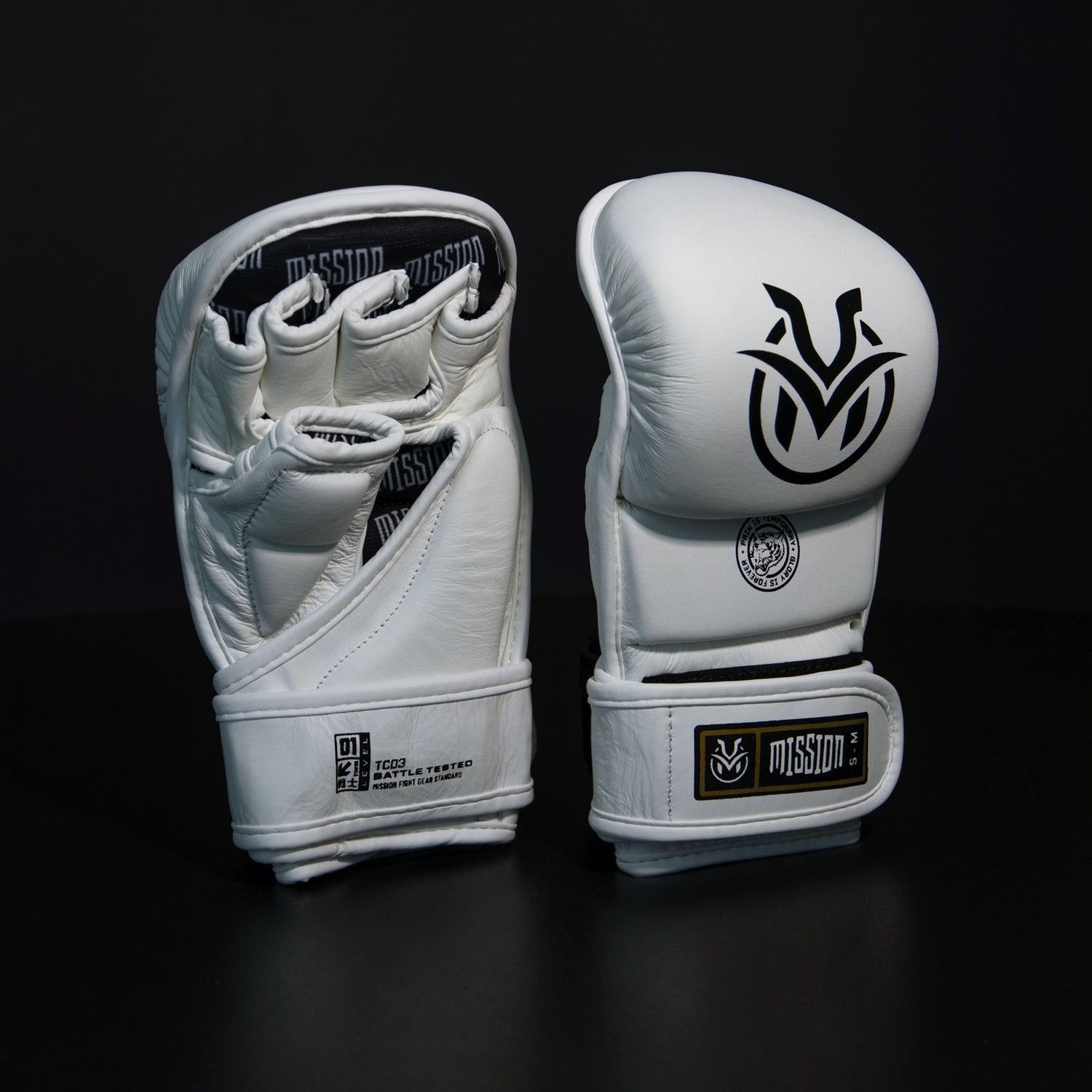 MMA GLOVES