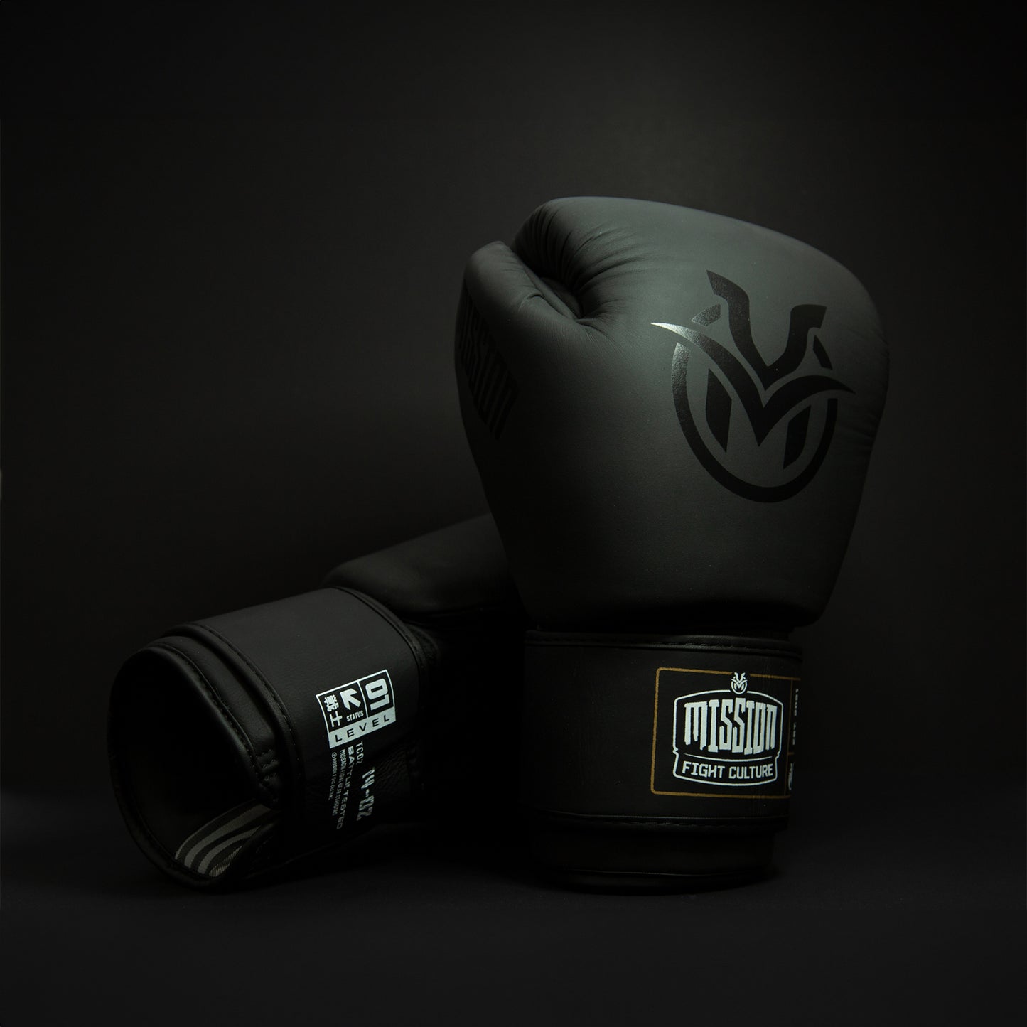 TC02 Muay Thai Boxing Gloves Black - Velcro
