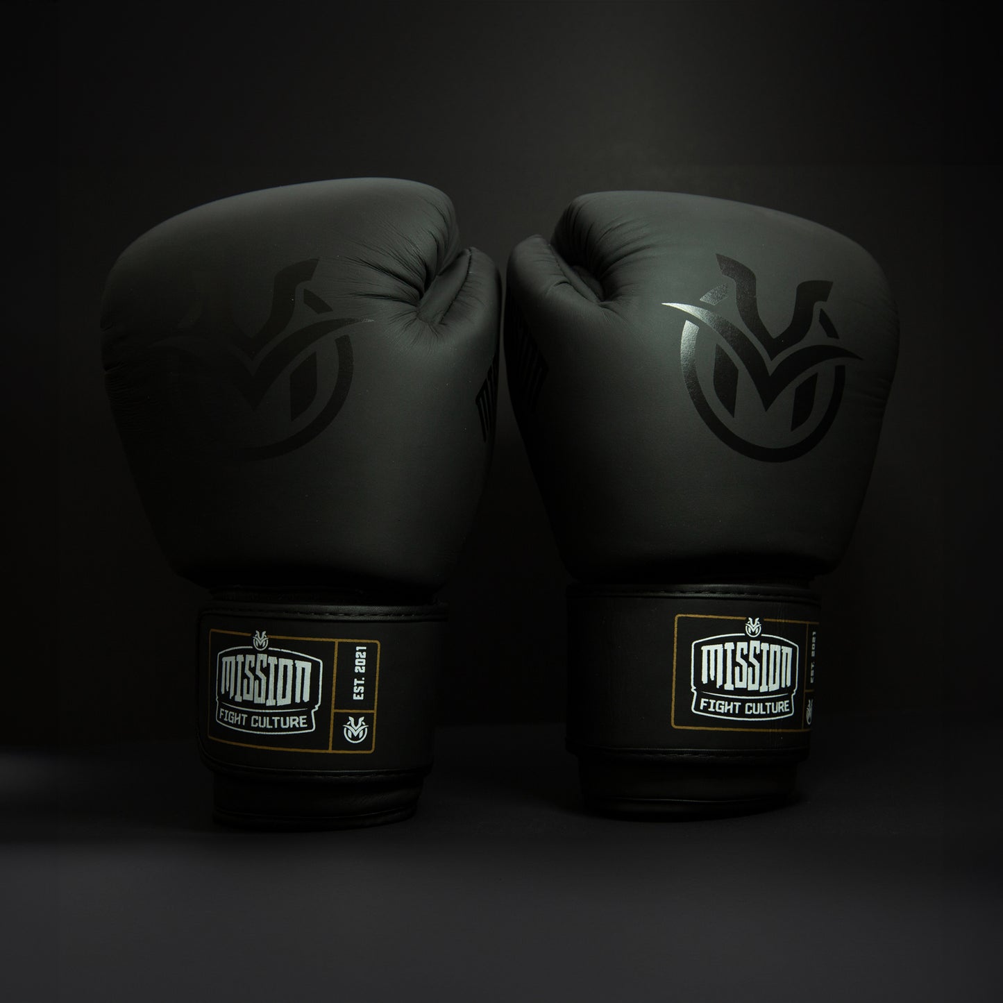 TC02 Muay Thai Boxing Gloves Black - Velcro