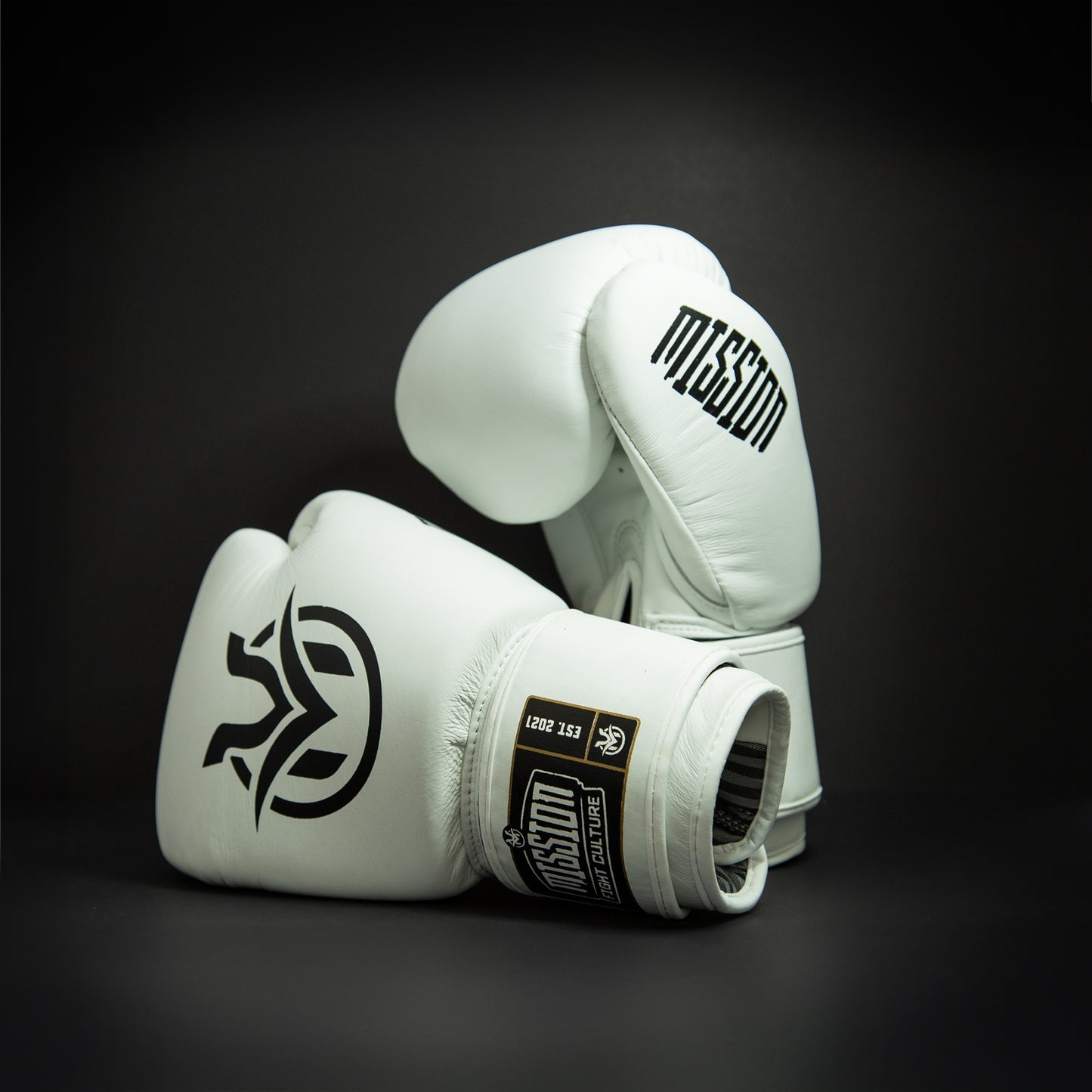 TC02 Muay Thai Boxing Gloves White - Velcro
