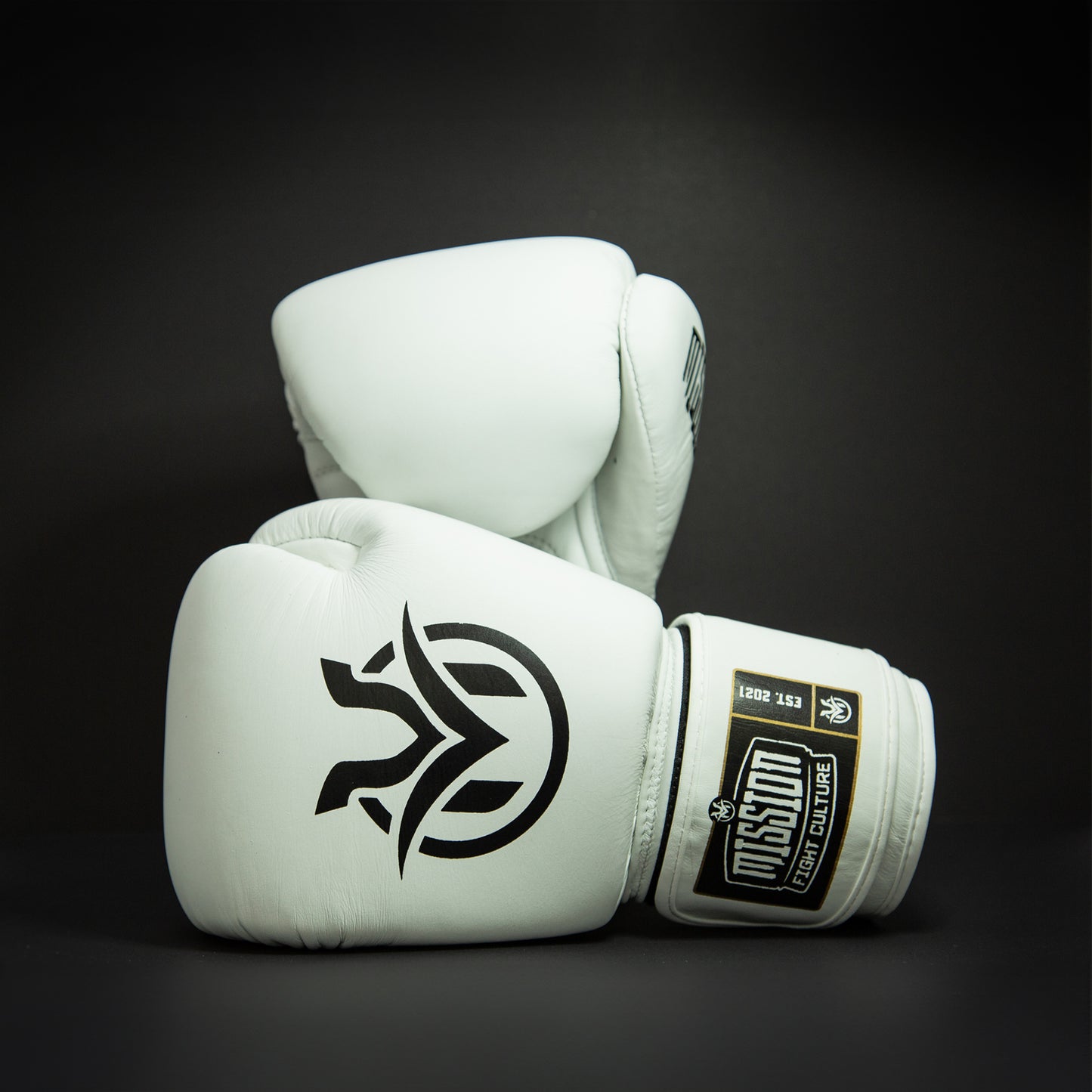 TC02 Muay Thai Boxing Gloves White - Velcro