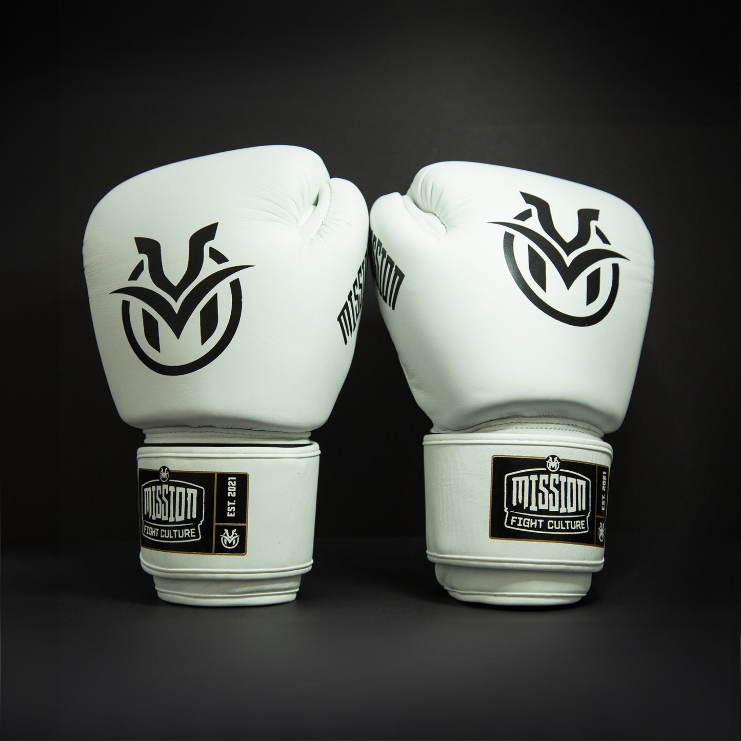TC02 Muay Thai Boxing Gloves White - Velcro